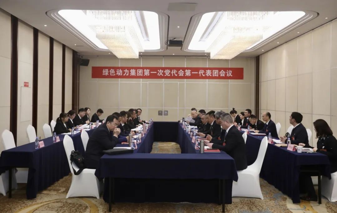 铭记使命再出发，代表热议“两委”报告