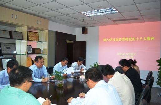 三亿集团党总支组织学习十八大精神